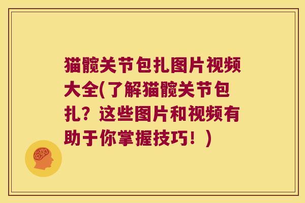 猫髋关节包扎图片视频大全(了解猫髋关节包扎？这些图片和视频有助于你掌握技巧！)