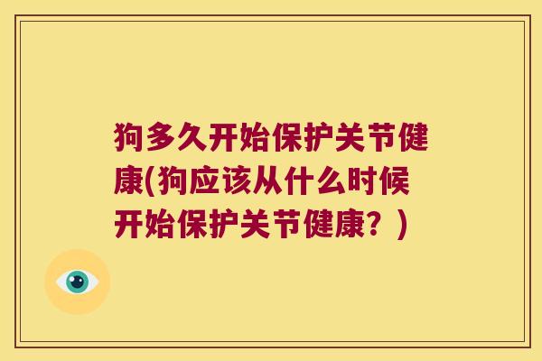 狗多久开始保护关节健康(狗应该从什么时候开始保护关节健康？)