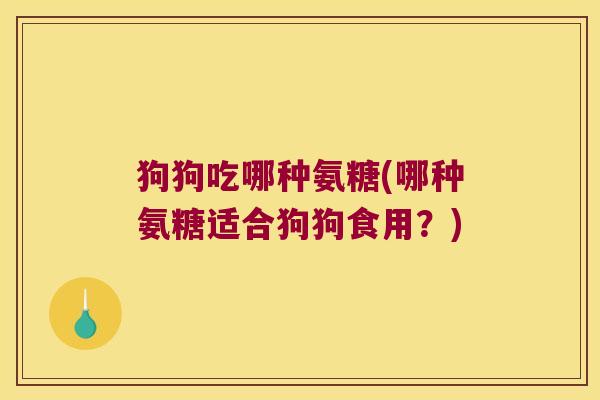 狗狗吃哪种氨糖(哪种氨糖适合狗狗食用?) 狗狗吃哪种氨糖(哪种氨糖适合狗狗食用?)