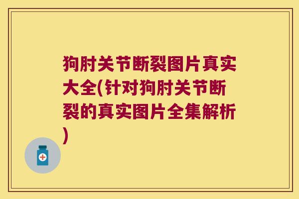 狗肘关节断裂图片真实大全(针对狗肘关节断裂的真实图片全集解析) 狗肘关节断裂图片真实大全(针对狗肘关节断裂的真实图片全集解析)