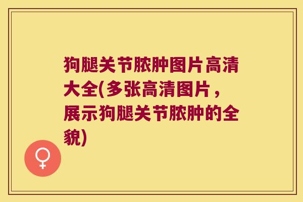 狗腿关节脓肿图片高清大全(多张高清图片，展示狗腿关节脓肿的全貌)