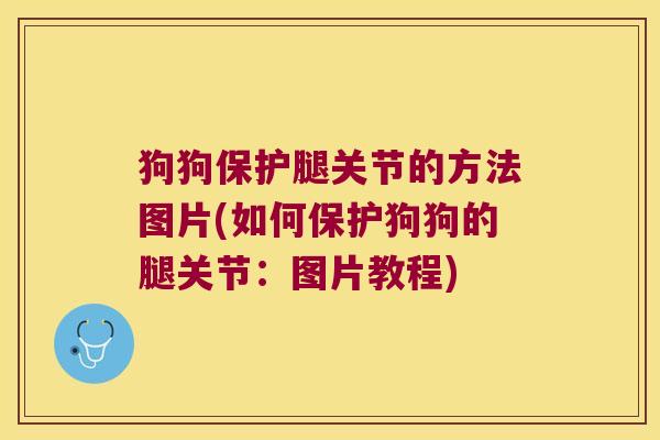 狗狗保护腿关节的方法图片(如何保护狗狗的腿关节:图片教程) 狗狗保护腿关节的方法图片(如何保护狗狗的腿关节:图片教程)