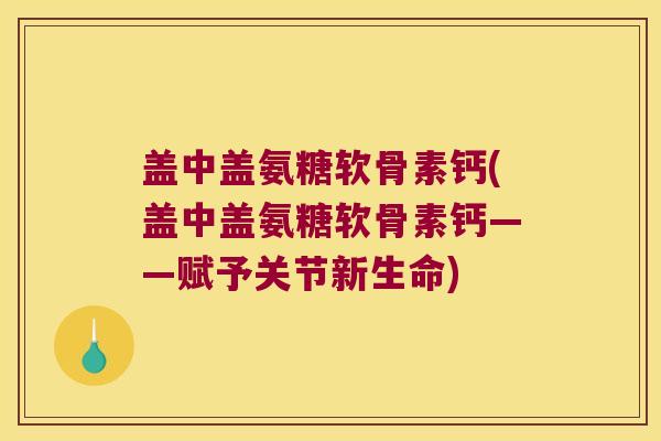盖中盖氨糖软骨素钙(盖中盖氨糖软骨素钙——赋予关节新生命) 盖中盖氨糖软骨素钙(盖中盖氨糖软骨素钙——赋予关节新生命)