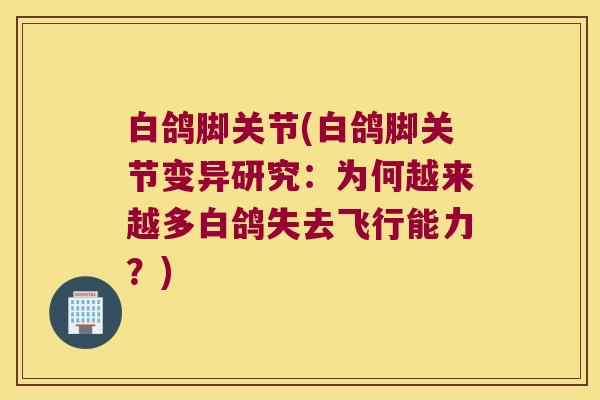 白鸽脚关节(白鸽脚关节变异研究:为何越来越多白鸽失去飞行能力?) 白鸽脚关节(白鸽脚关节变异研究:为何越来越多白鸽失去飞行能力?)