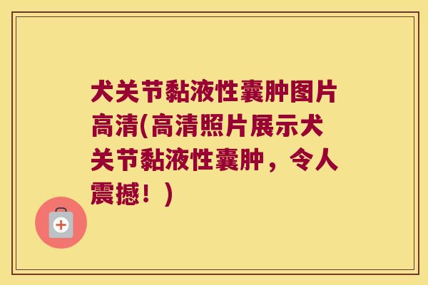犬关节黏液性囊肿图片高清(高清照片展示犬关节黏液性囊肿，令人震撼！)