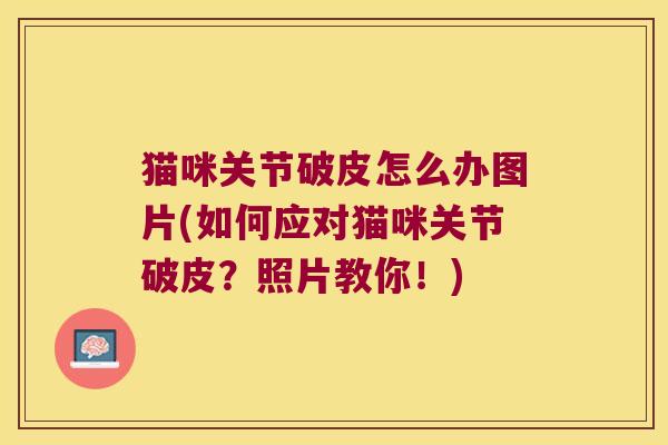 猫咪关节破皮怎么办图片(如何应对猫咪关节破皮?照片教你!) 猫咪关节破皮怎么办图片(如何应对猫咪关节破皮?照片教你!)