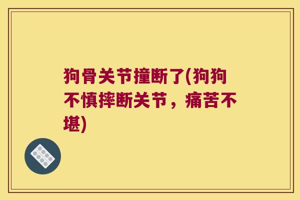 狗骨关节撞断了(狗狗不慎摔断关节,痛苦不堪) 狗骨关节撞断了(狗狗不慎摔断关节,痛苦不堪)