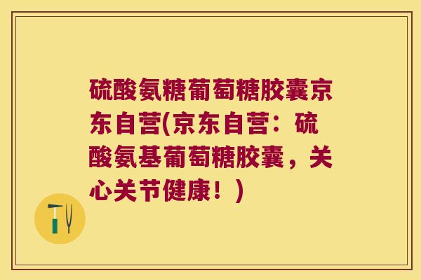 硫酸氨糖葡萄糖胶囊京东自营(京东自营:硫酸氨基葡萄糖胶囊,关心关节健康!) 硫酸氨糖葡萄糖胶囊京东自营(京东自营:硫酸氨基葡萄糖胶囊,关心关节健康!)