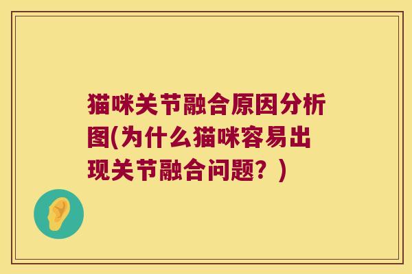 猫咪关节融合原因分析图(为什么猫咪容易出现关节融合问题？)