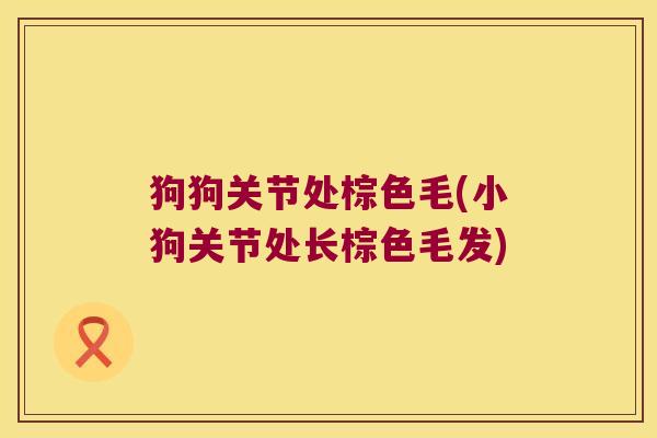 狗狗关节处棕色毛(小狗关节处长棕色毛发) 狗狗关节处棕色毛(小狗关节处长棕色毛发)