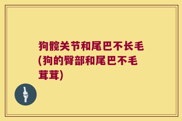狗髋关节和尾巴不长毛(狗的臀部和尾巴不毛茸茸) 狗髋关节和尾巴不长毛(狗的臀部和尾巴不毛茸茸)