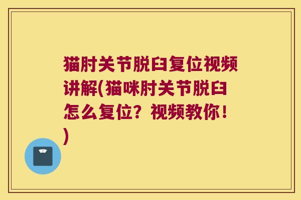 猫肘关节脱臼复位视频讲解(猫咪肘关节脱臼怎么复位？视频教你！)