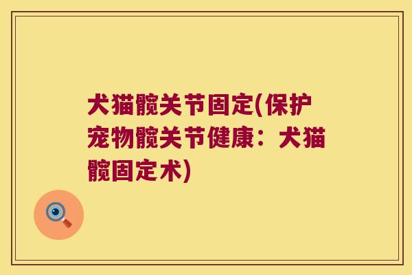 犬猫髋关节固定(保护宠物髋关节健康：犬猫髋固定术)