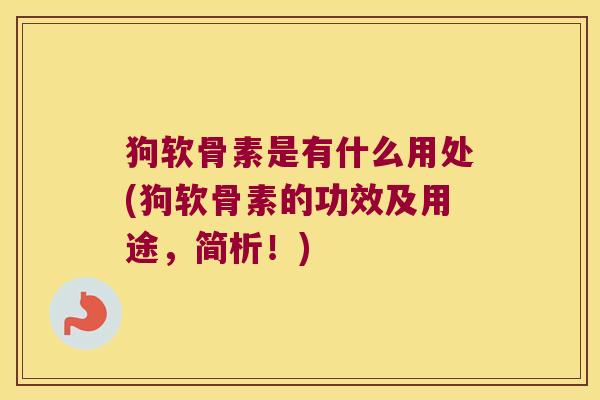 狗软骨素是有什么用处(狗软骨素的功效及用途，简析！)