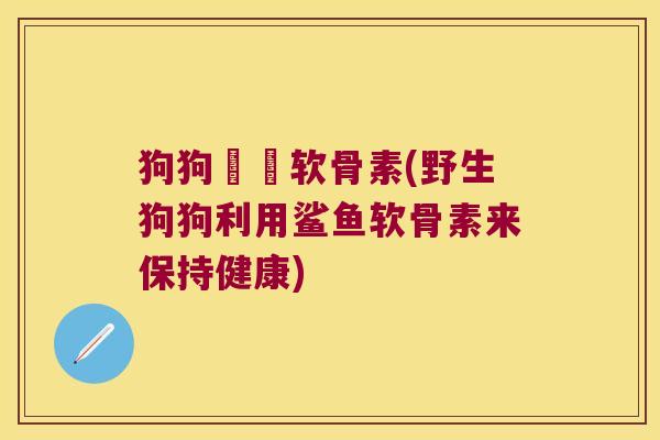 狗狗鯊魚软骨素(野生狗狗利用鲨鱼软骨素来保持健康) 狗狗鯊魚软骨素(野生狗狗利用鲨鱼软骨素来保持健康)