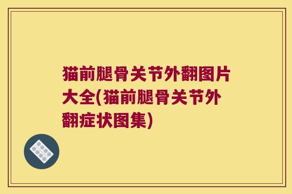 猫前腿骨关节外翻图片大全(猫前腿骨关节外翻症状图集) 猫前腿骨关节外翻图片大全(猫前腿骨关节外翻症状图集)