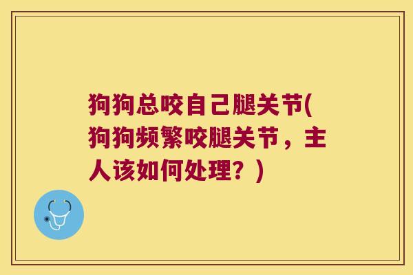 狗狗总咬自己腿关节(狗狗频繁咬腿关节，主人该如何处理？)