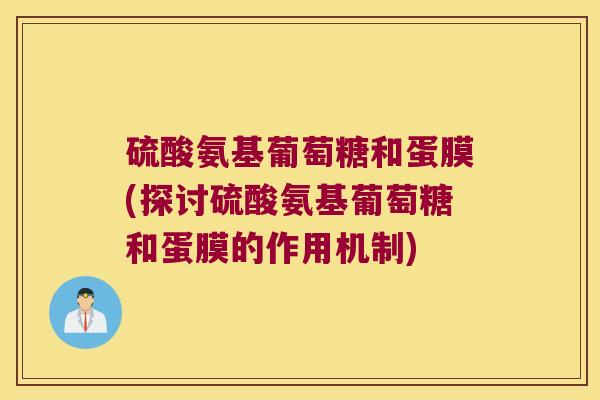 硫酸氨基葡萄糖和蛋膜(探讨硫酸氨基葡萄糖和蛋膜的作用机制)