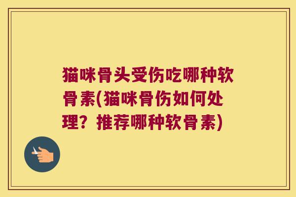 猫咪骨头受伤吃哪种软骨素(猫咪骨伤如何处理?推荐哪种软骨素) 猫咪骨头受伤吃哪种软骨素(猫咪骨伤如何处理?推荐哪种软骨素)
