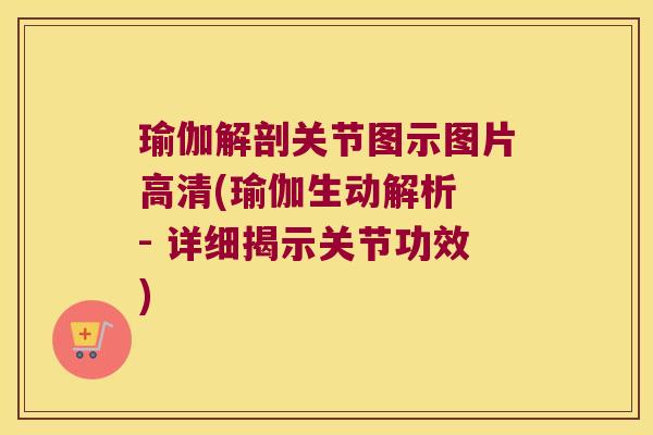 瑜伽解剖关节图示图片高清(瑜伽生动解析 - 详细揭示关节功效)