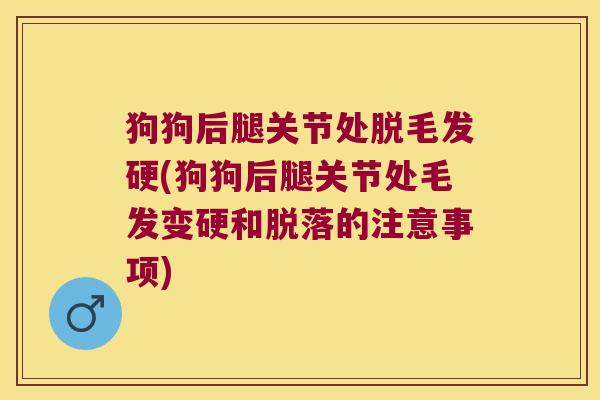 狗狗后腿关节处脱毛发硬(狗狗后腿关节处毛发变硬和脱落的注意事项)