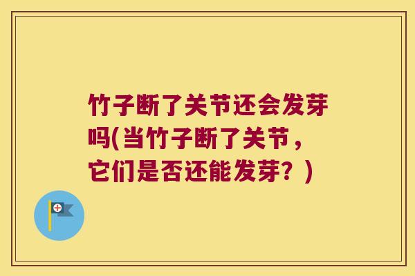 竹子断了关节还会发芽吗(当竹子断了关节，它们是否还能发芽？)