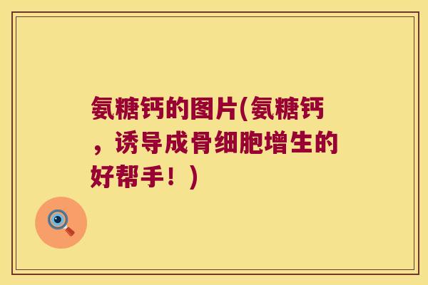氨糖钙的图片(氨糖钙，诱导成骨细胞增生的好帮手！)