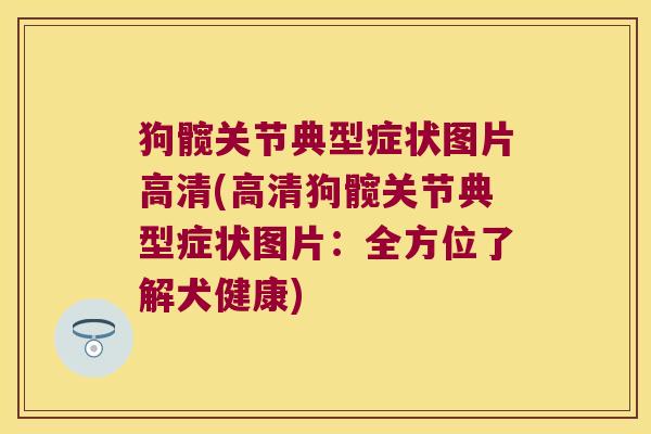 狗髋关节典型症状图片高清(高清狗髋关节典型症状图片:全方位了解犬健康) 狗髋关节典型症状图片高清(高清狗髋关节典型症状图片:全方位了解犬健康)