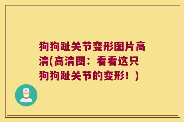 狗狗趾关节变形图片高清(高清图：看看这只狗狗趾关节的变形！)