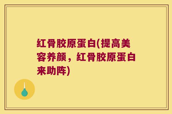 红骨胶原蛋白(提高美容养颜,红骨胶原蛋白来助阵) 红骨胶原蛋白(提高美容养颜,红骨胶原蛋白来助阵)