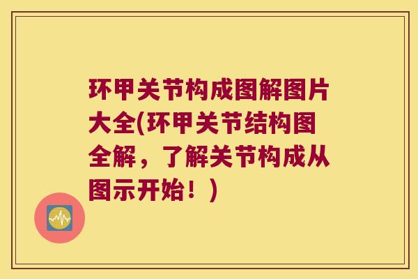 环甲关节构成图解图片大全(环甲关节结构图全解，了解关节构成从图示开始！)