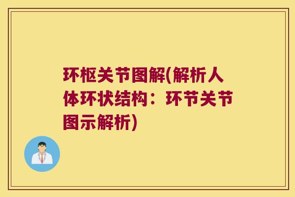 环枢关节图解(解析人体环状结构：环节关节图示解析)