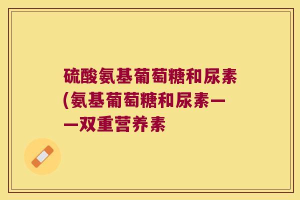 硫酸氨基葡萄糖和尿素(氨基葡萄糖和尿素——双重营养素