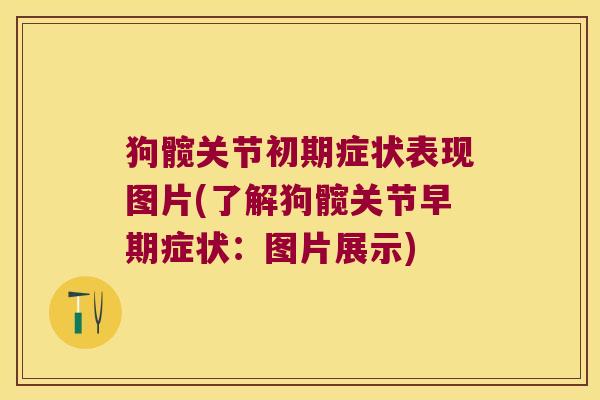 狗髋关节初期症状表现图片(了解狗髋关节早期症状:图片展示) 狗髋关节初期症状表现图片(了解狗髋关节早期症状:图片展示)
