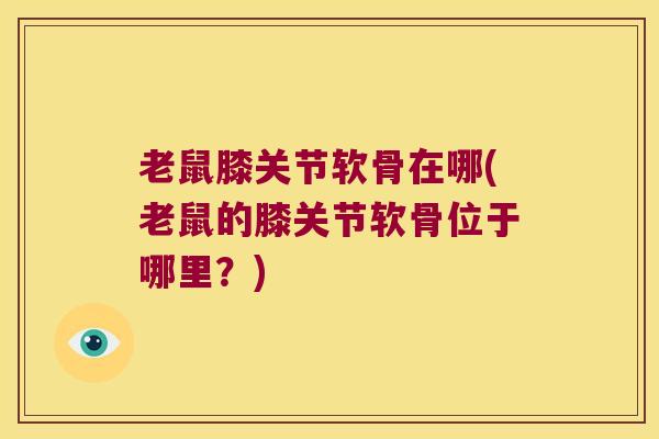 老鼠膝关节软骨在哪(老鼠的膝关节软骨位于哪里？)
