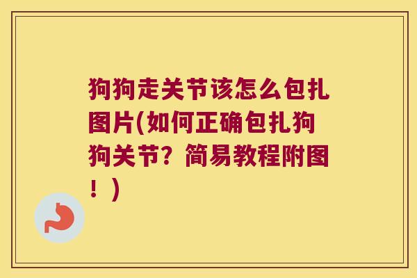 狗狗走关节该怎么包扎图片(如何正确包扎狗狗关节?简易教程附图!) 狗狗走关节该怎么包扎图片(如何正确包扎狗狗关节?简易教程附图!)