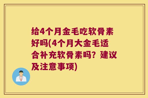 给4个月金毛吃软骨素好吗(4个月大金毛适合补充软骨素吗？建议及注意事项)