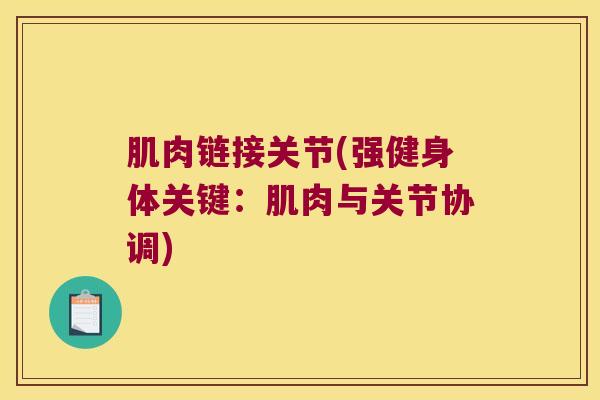 肌肉链接关节(强健身体关键：肌肉与关节协调)