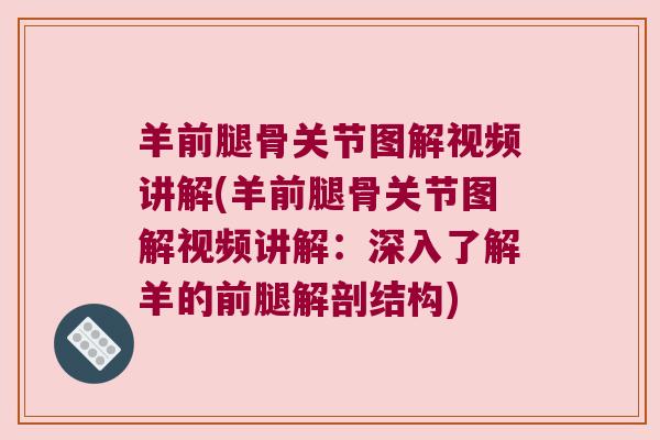 羊前腿骨关节图解视频讲解(羊前腿骨关节图解视频讲解:深入了解羊的前腿解剖结构) 羊前腿骨关节图解视频讲解(羊前腿骨关节图解视频讲解:深入了解羊的前腿解剖结构)