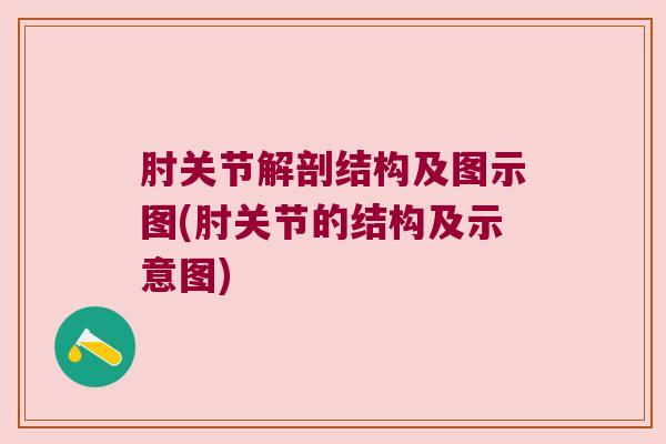 肘关节解剖结构及图示图(肘关节的结构及示意图)