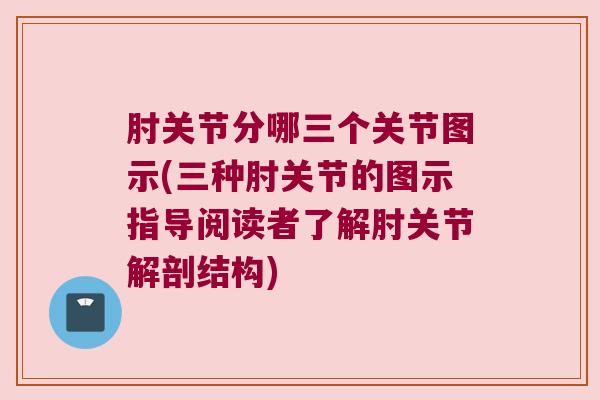 肘关节分哪三个关节图示(三种肘关节的图示指导阅读者了解肘关节解剖结构) 肘关节分哪三个关节图示(三种肘关节的图示指导阅读者了解肘关节解剖结构)