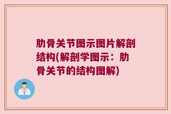 肋骨关节图示图片解剖结构(解剖学图示：肋骨关节的结构图解)