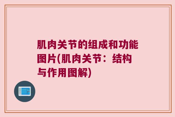 肌肉关节的组成和功能图片(肌肉关节:结构与作用图解) 肌肉关节的组成和功能图片(肌肉关节:结构与作用图解)