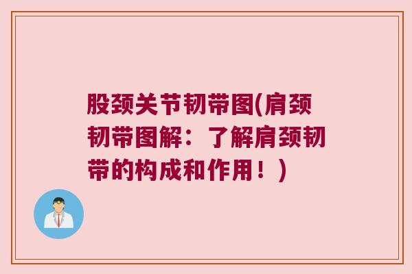 股颈关节韧带图(肩颈韧带图解：了解肩颈韧带的构成和作用！)