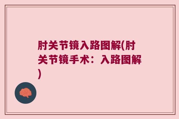 肘关节镜入路图解(肘关节镜手术:入路图解) 肘关节镜入路图解(肘关节镜手术:入路图解)