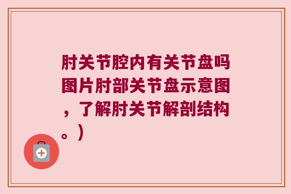 肘关节腔内有关节盘吗图片肘部关节盘示意图,了解肘关节解剖结构。) 肘关节腔内有关节盘吗图片肘部关节盘示意图,了解肘关节解剖结构。)