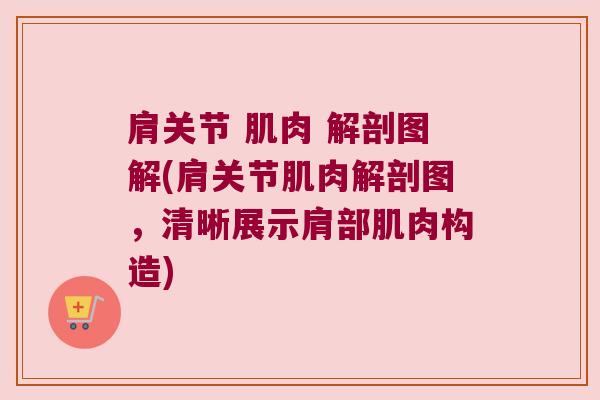 肩关节 肌肉 解剖图解(肩关节肌肉解剖图,清晰展示肩部肌肉构造) 肩关节 肌肉 解剖图解(肩关节肌肉解剖图,清晰展示肩部肌肉构造)