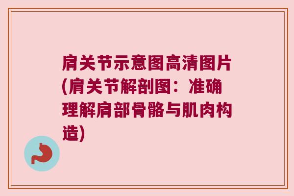 肩关节示意图高清图片(肩关节解剖图：准确理解肩部骨骼与肌肉构造)
