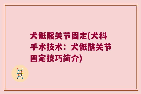 犬骶髂关节固定(犬科手术技术:犬骶髂关节固定技巧简介) 犬骶髂关节固定(犬科手术技术:犬骶髂关节固定技巧简介)