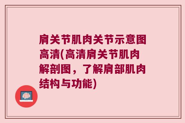 肩关节肌肉关节示意图高清(高清肩关节肌肉解剖图,了解肩部肌肉结构与功能) 肩关节肌肉关节示意图高清(高清肩关节肌肉解剖图,了解肩部肌肉结构与功能)